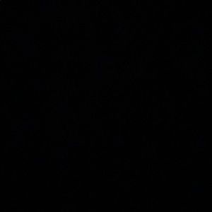 Meet your Posher, Ruma